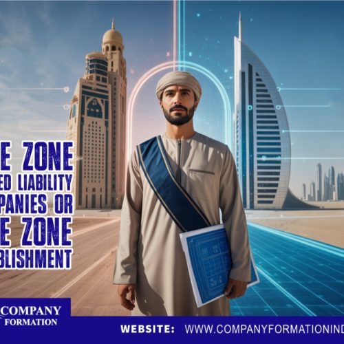 Free Zone Limited Liability Companies or Free Zone Establishment
